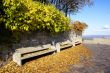 Benches In Autumn