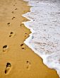 Footsteps in Sand