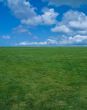 Grass & Sky
