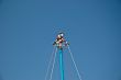 High Wire Performer
