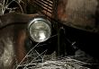 Headlight on Abandoned Truck