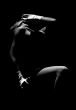 Dancer