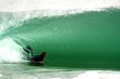 Surfer