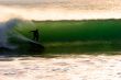 Surfer