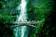 Bridge with Waterfall
