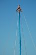 High Wire Performer