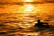 Surfer with Sunset