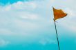 Flag in wind