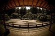 Japanese Building Deck
