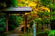 Gate to Japanese Garden