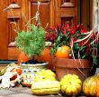 Vegetable Still Life