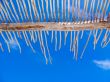 Stick Roof