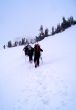 Trekking