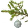 Cristmas-tree ball