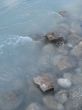 grey rock and green river