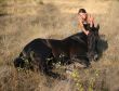 horse laid down and teen