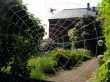 Garden and web