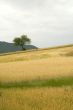 Sella di Corno (Abruzzi) - Landscape