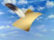 Flying Paper And A Feather
