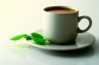 Cup of cofee with leaves