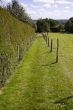 Footpath
