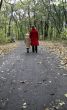 forest walk