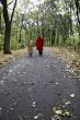 forest walk