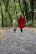 forest walk