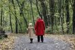 forest walk