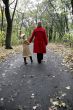 forest walk