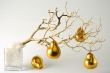 Golden Pears in Warm