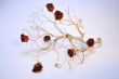 Roses on a Dry Branch