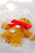 Gingerbread Man