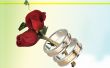 Rose and rings