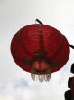 asian lantern