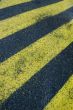 yellow stripes