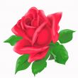 symbol of love