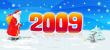 2009 year