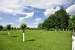 Park landscape