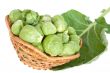Brussels cabbage