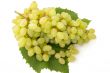 grape