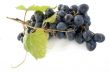 grape