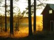 House, forest, sunset