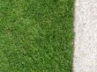 Grass texture with white granite