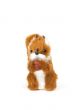Cute plushy squirrel in front of a white background
