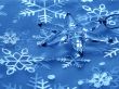 Christmas star