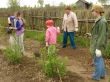 family gardening