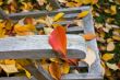 deckchair in autumn