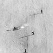 Skiers