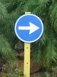 blue street direction sign